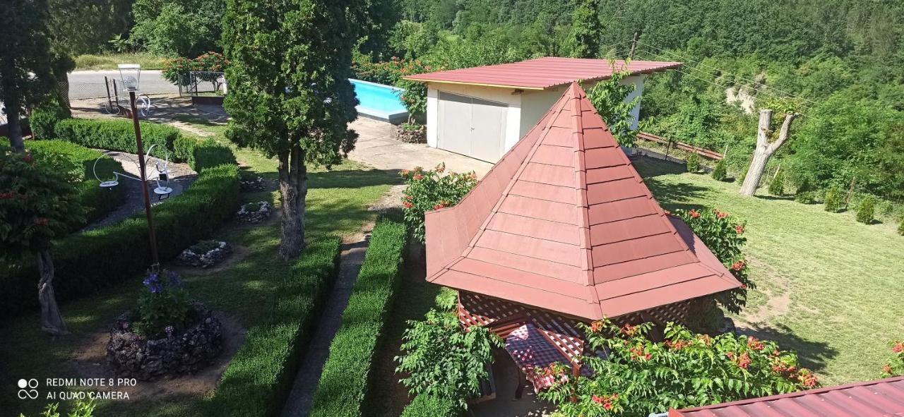 Guest House Vila Aleksa Bogutovac Exteriör bild