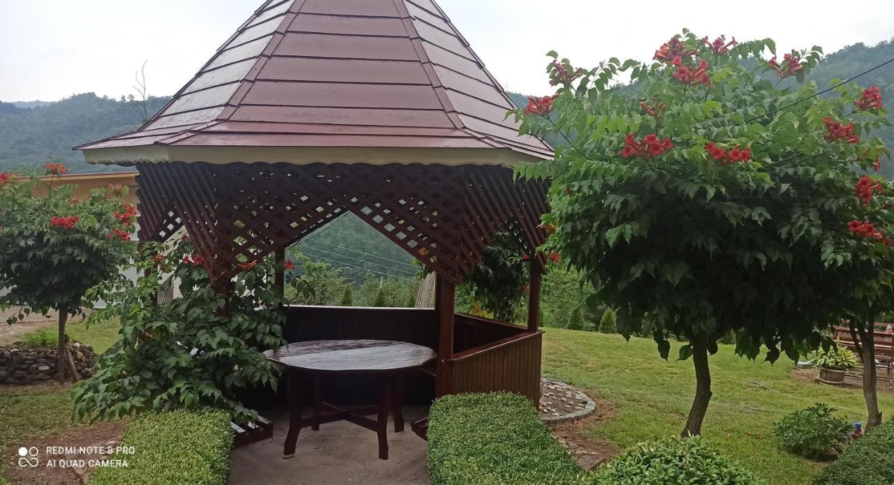Guest House Vila Aleksa Bogutovac Exteriör bild
