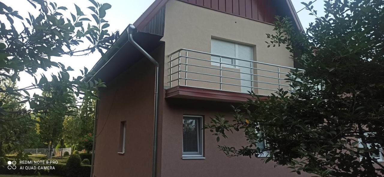 Guest House Vila Aleksa Bogutovac Exteriör bild